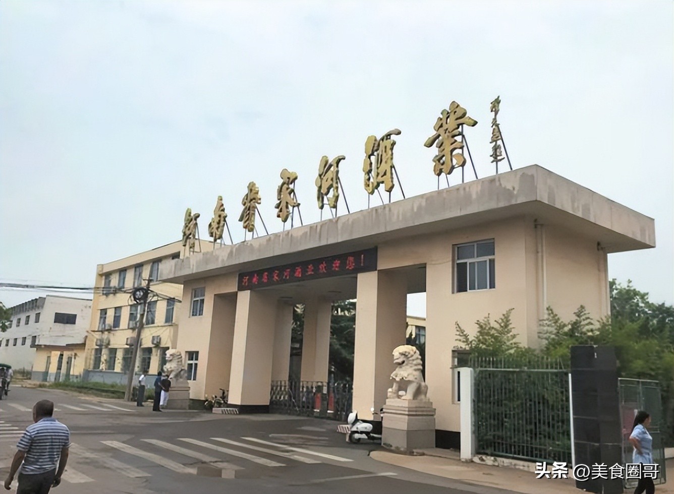 豫酒王“宋河粮液”破产！下一个“王者”是谁？仰韶有望一争高下