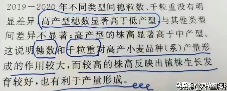 2016年小麦国审有哪些品种,国审小麦超高产品种前十名