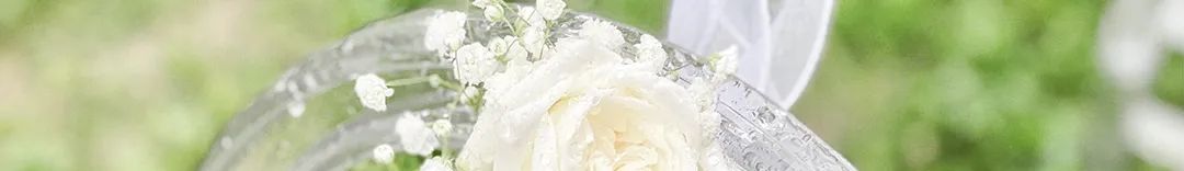 健合益生菌和营养品暴涨70.6%；美团开启新模式，订单量大增50%