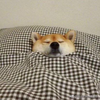 晚上睡觉脸部涂什么护肤,晚上睡觉前怎么护肤