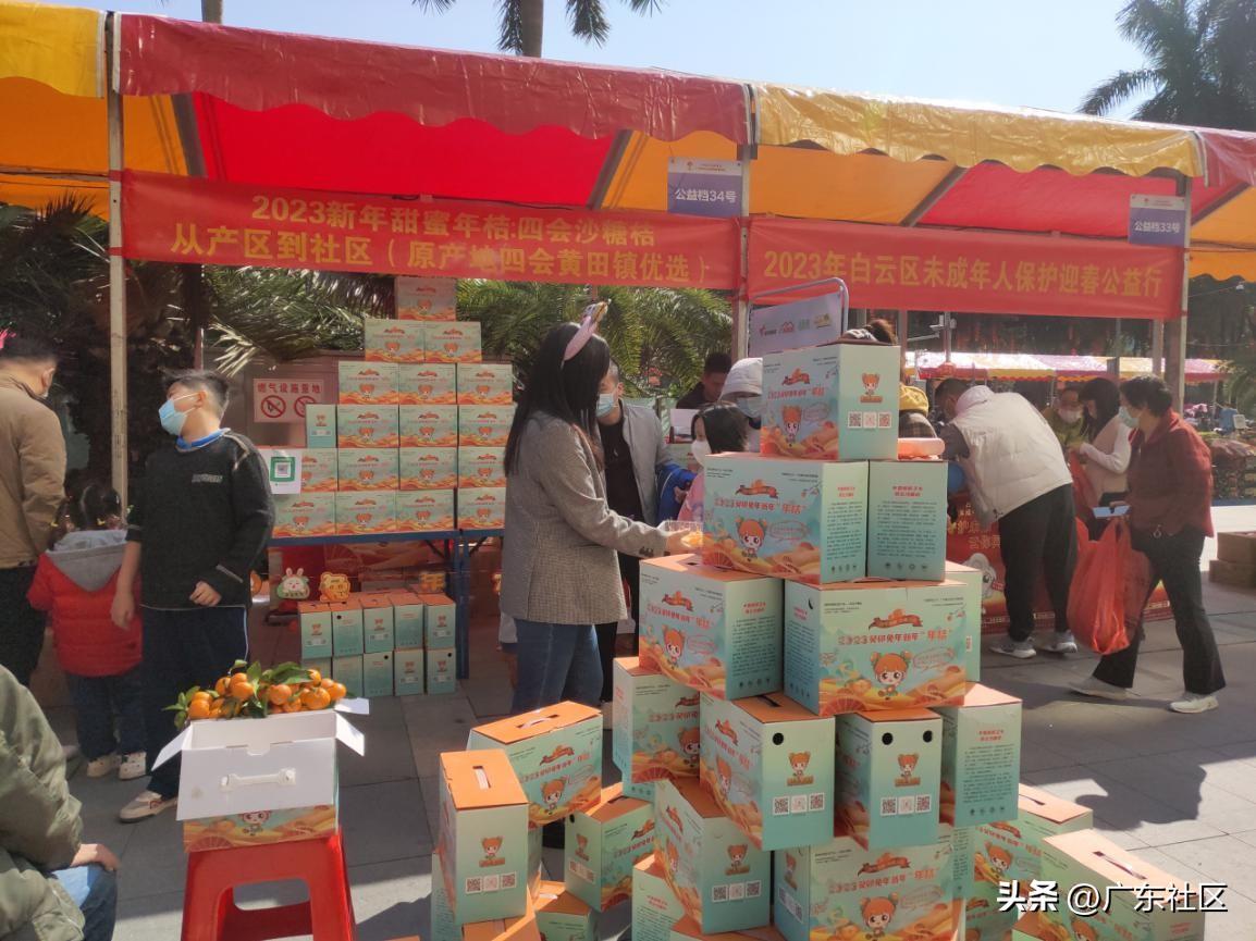 四会沙糖桔节,四会沙糖桔2019