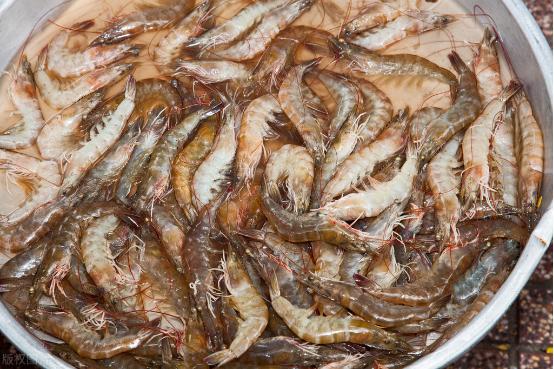 冬天大虾不放冰箱可以吗,大虾怎么保存保鲜不黑