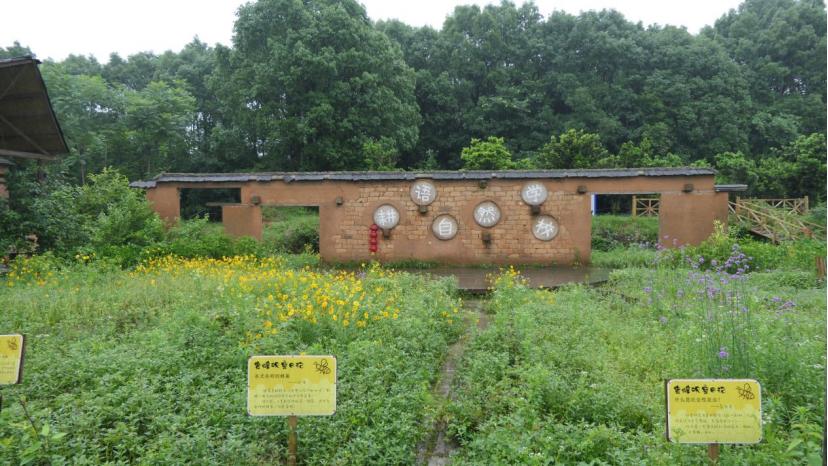 投资少回收快的小农场该如何做,搞一个5亩的小农场要投资多少钱