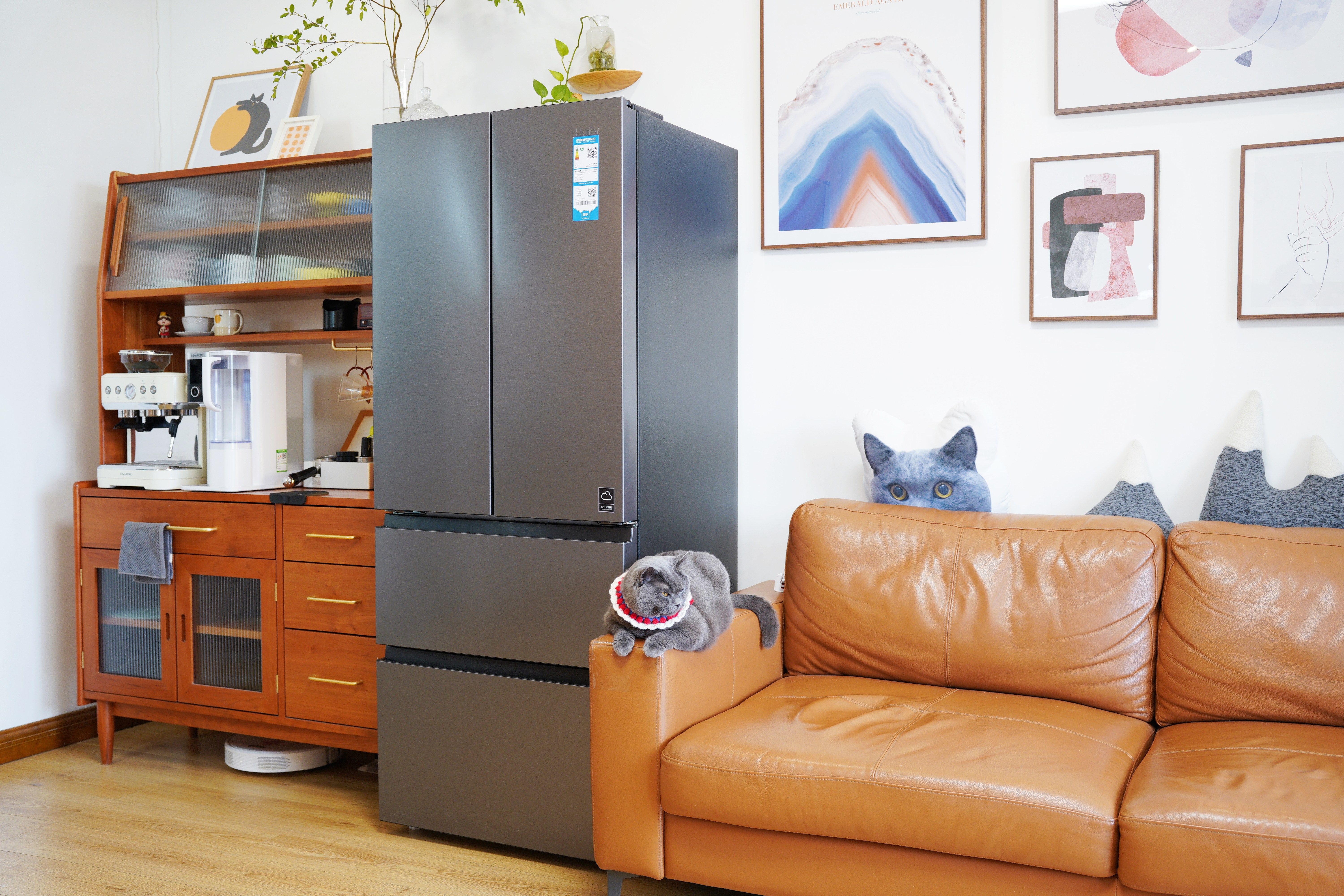 海尔冰箱526对开门优缺点评测,海尔412升冰箱怎么样