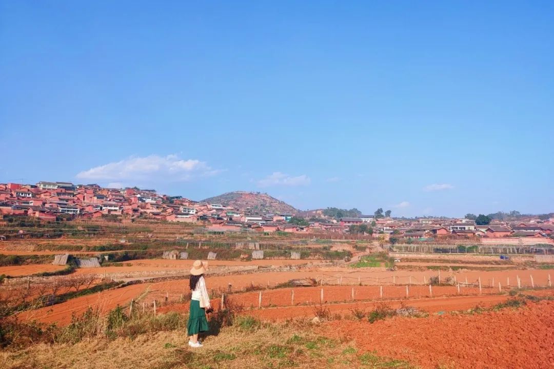 喜欢在这座江南城市里生活,非常喜欢这座自带浪漫的美丽城市