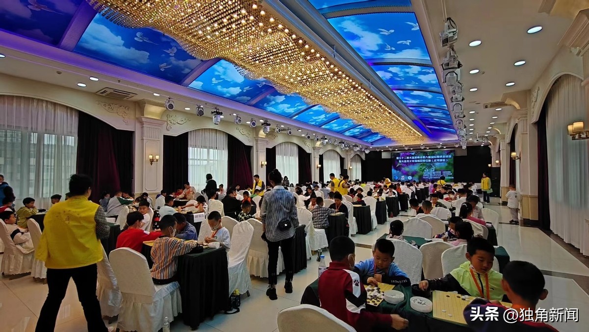 大连市成功举办第三十二届大连赏槐会第八届国际围棋邀请赛暨大连青少年围棋段级位赛庄河赛区比赛