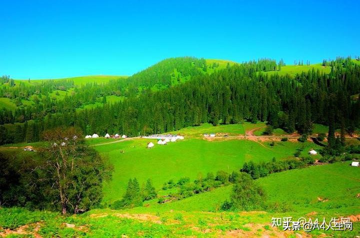 咏草的诗句全部,咏草的诗句是