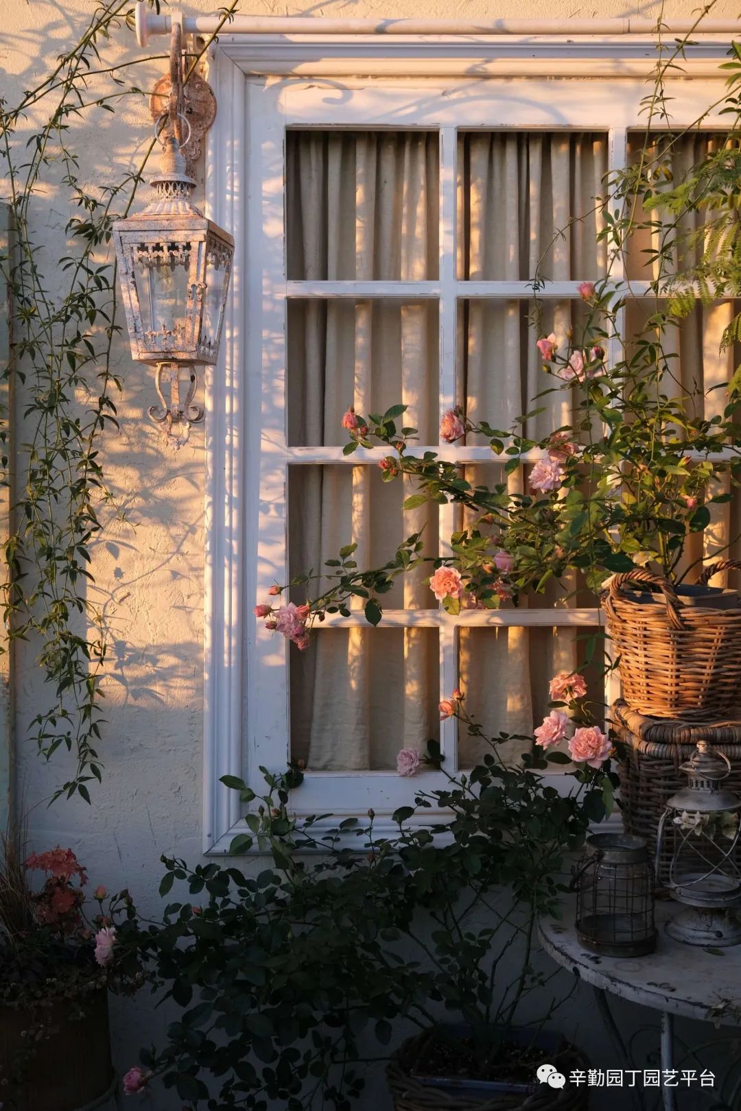 第八届园丁奖露台组《030号》洛基花园