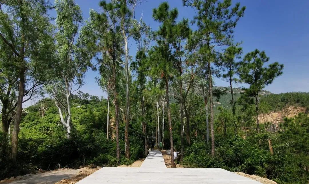 珠海值得去的地方推荐,珠海游玩放松推荐