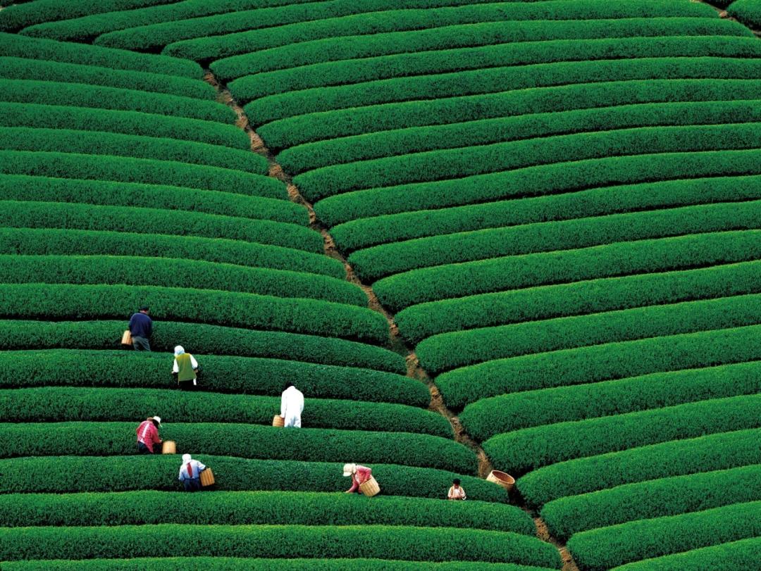 杭州西湖微信头像图片,杭州风景图片头像