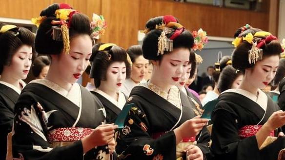 日本的幕府政治制度模式,日本幕府统治危机原因