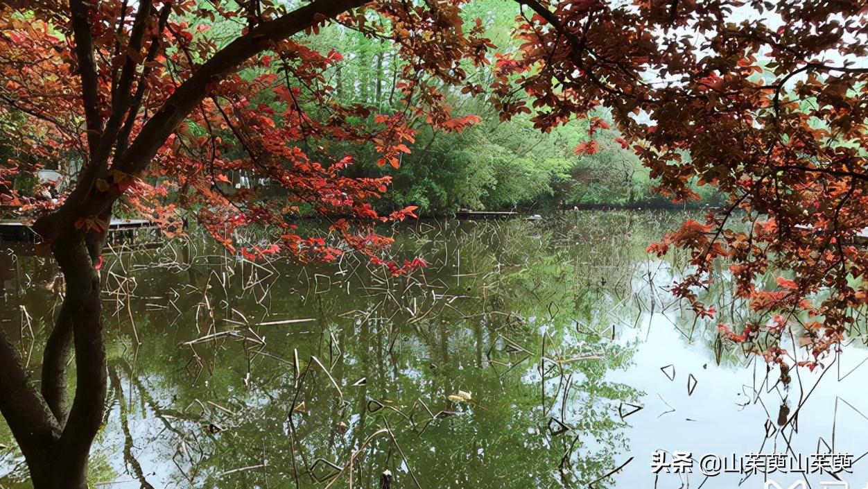 来看看我同学巢湖碧桂园的养老房，羡慕啊