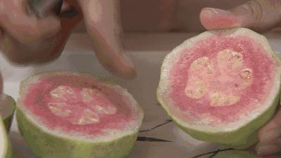 芭乐现摘现吃,芭乐水果人气榜