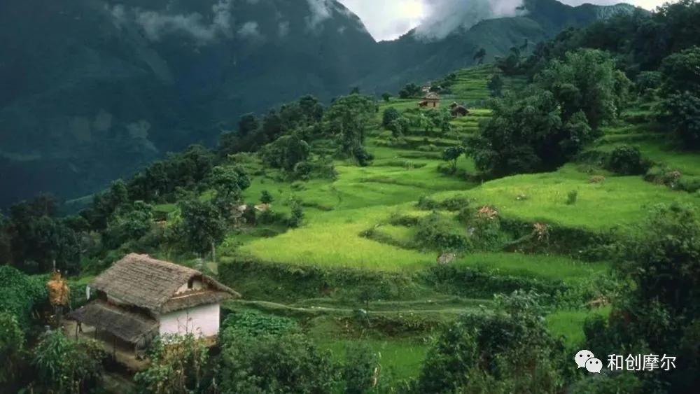 积极探索村集体经济发展模式,探索农村集体经济联合社模式