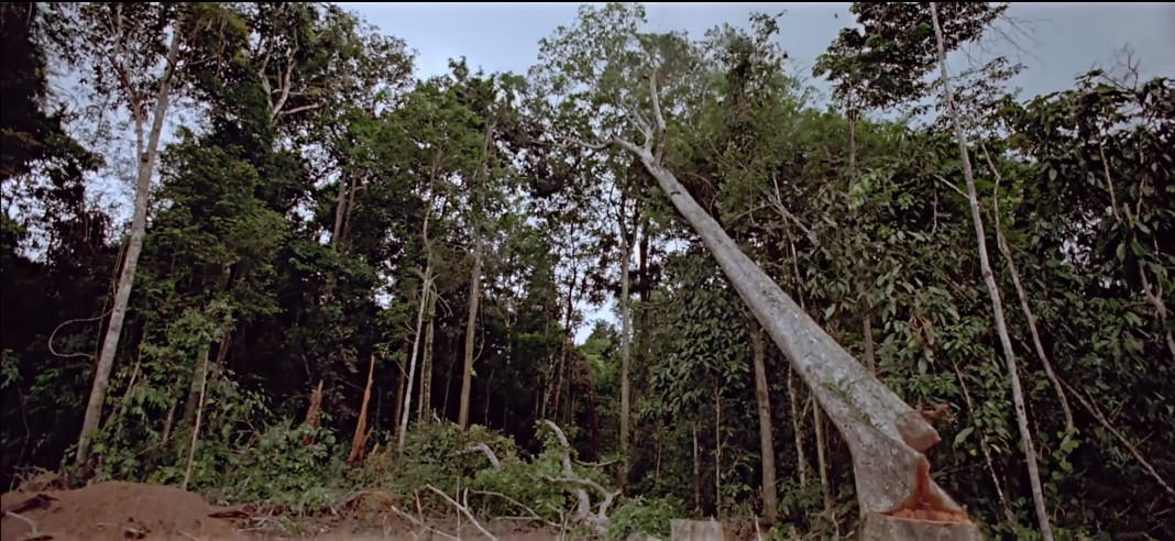 如果人类可以随意穿梭太空,如果人类进入外太空会怎么样