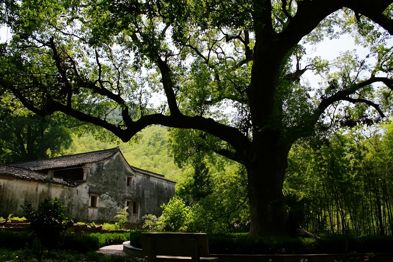 不出国门也能旅游,不出国门就能环游世界