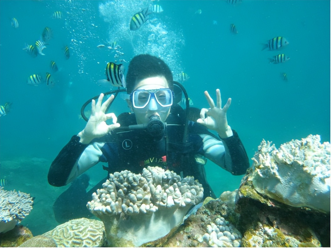 蜈支洲岛哪种潜水适合新人,蜈支洲岛潜水值得吗