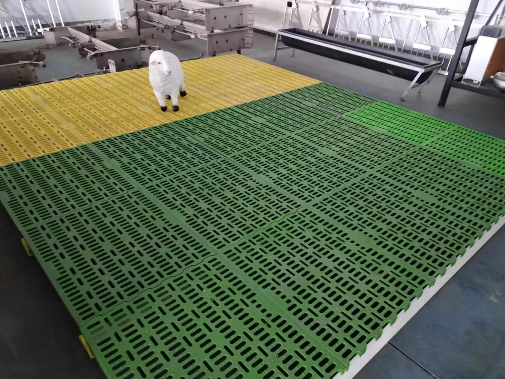 羊床塑料漏粪板下面用什么固定,羊床漏粪板塑料