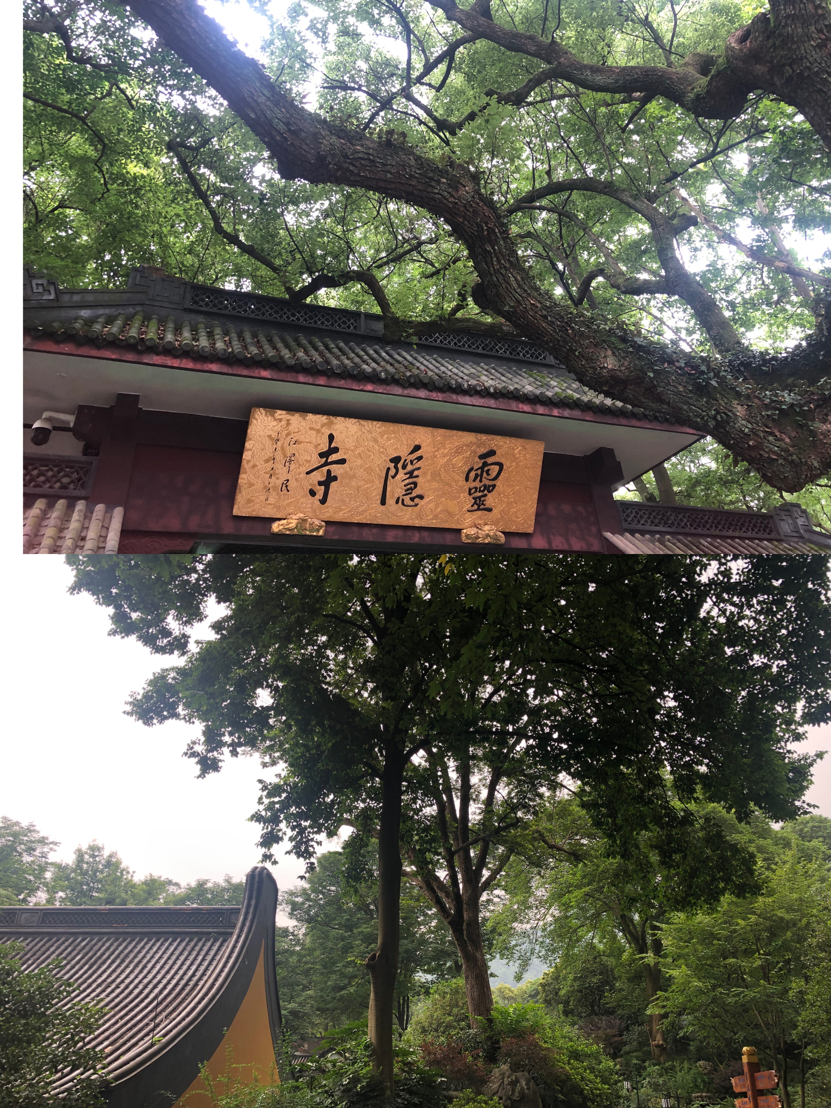 杭州钱塘江观潮最佳景点,杭州有哪些旅游景点好玩