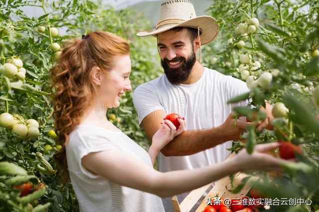 新型家庭农场的致富路,家庭农场的发展红利又将迎来高潮