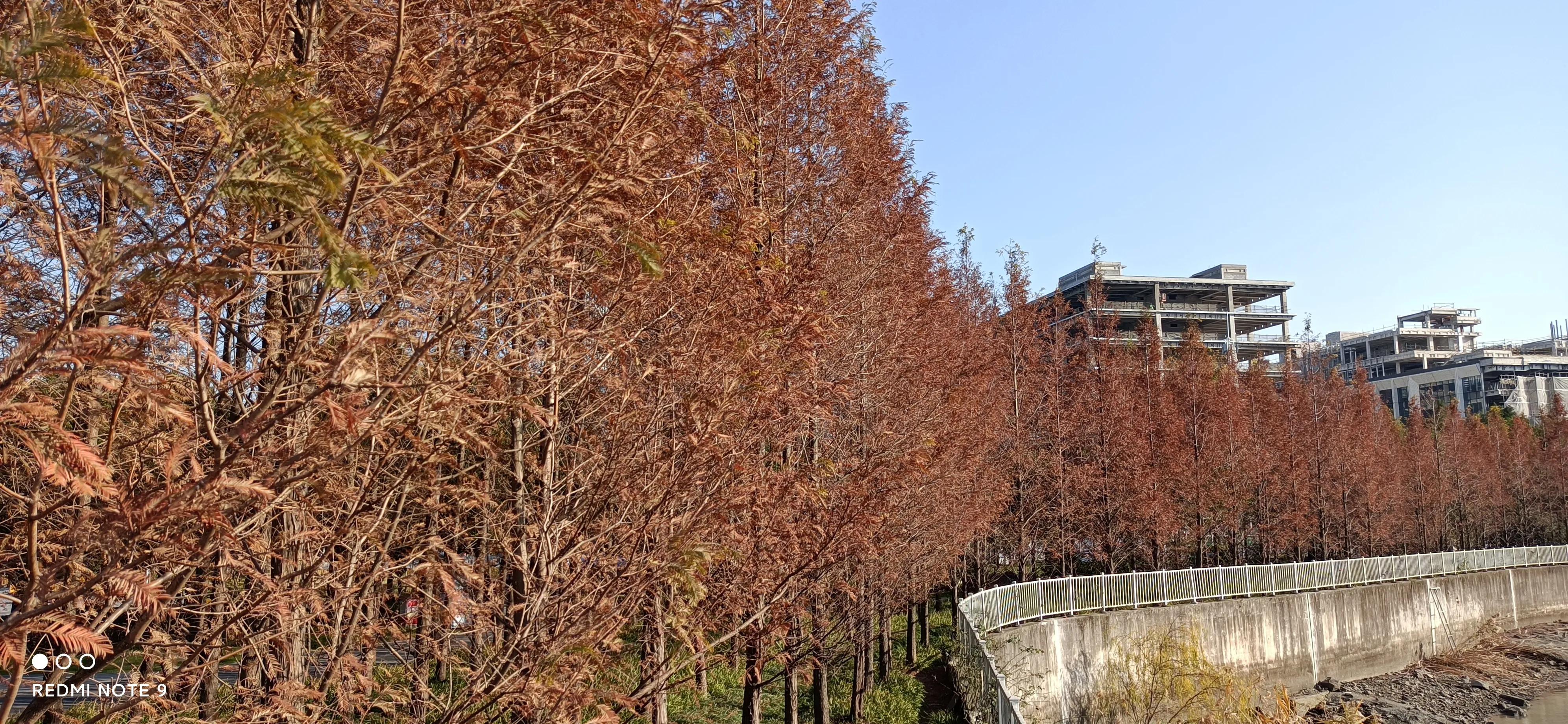 浦东前滩效果图,上海浦东前滩将开的新楼盘