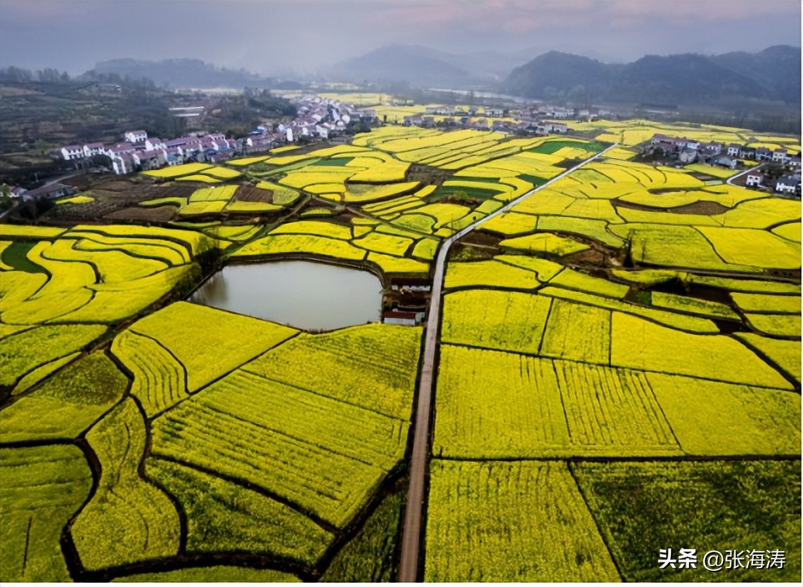湖北园林绿化工程施工,湖北园林绿化景观设计施工养护