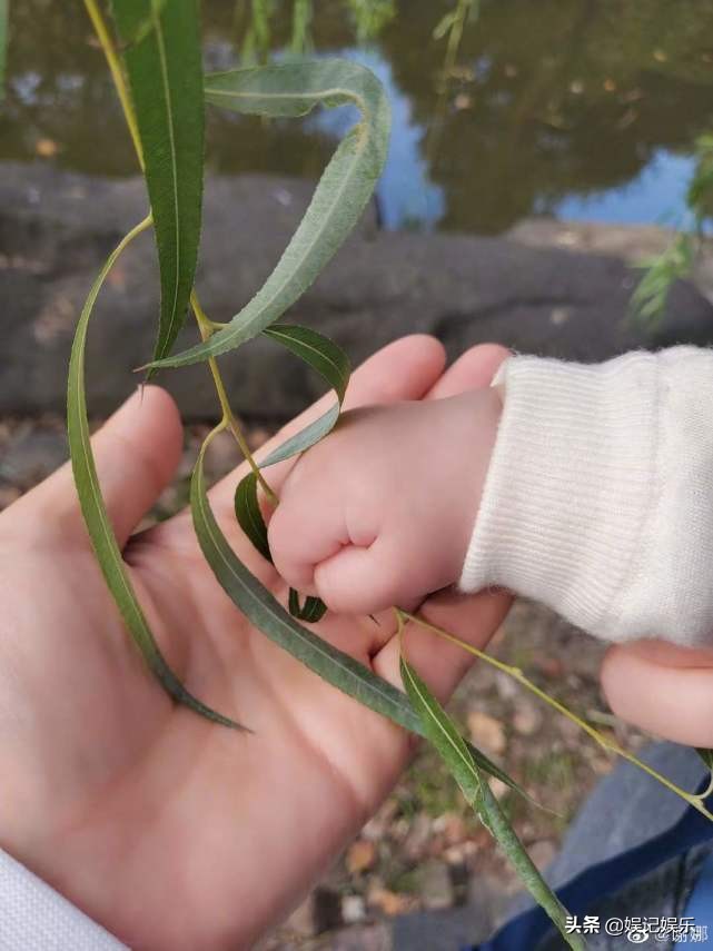张杰跟谢娜分隔两地，杰哥在家照顾仨孩子，哄娃方式超温柔