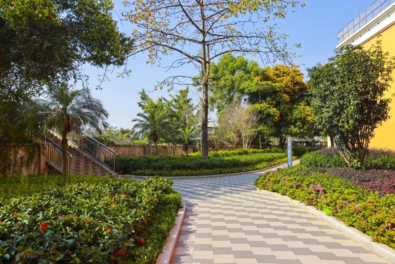 深圳十大私立贵族学校高中,深圳最贵民办高中学校