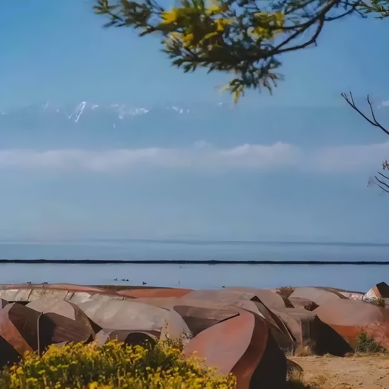 大理游玩攻略3天2晚,大理环海一日游攻略12点出发