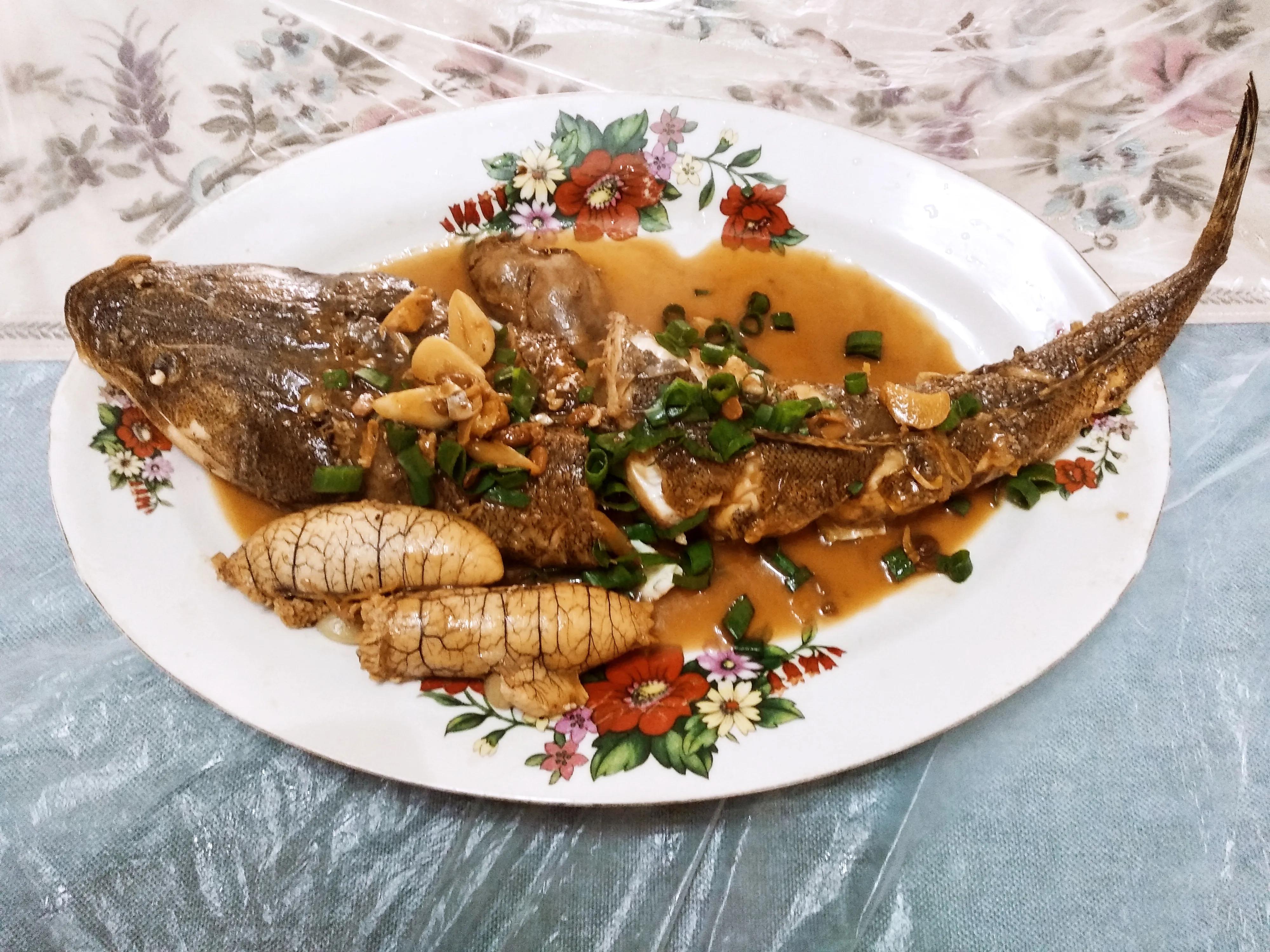 15种常见的海鱼,100种常见食用海鱼图谱