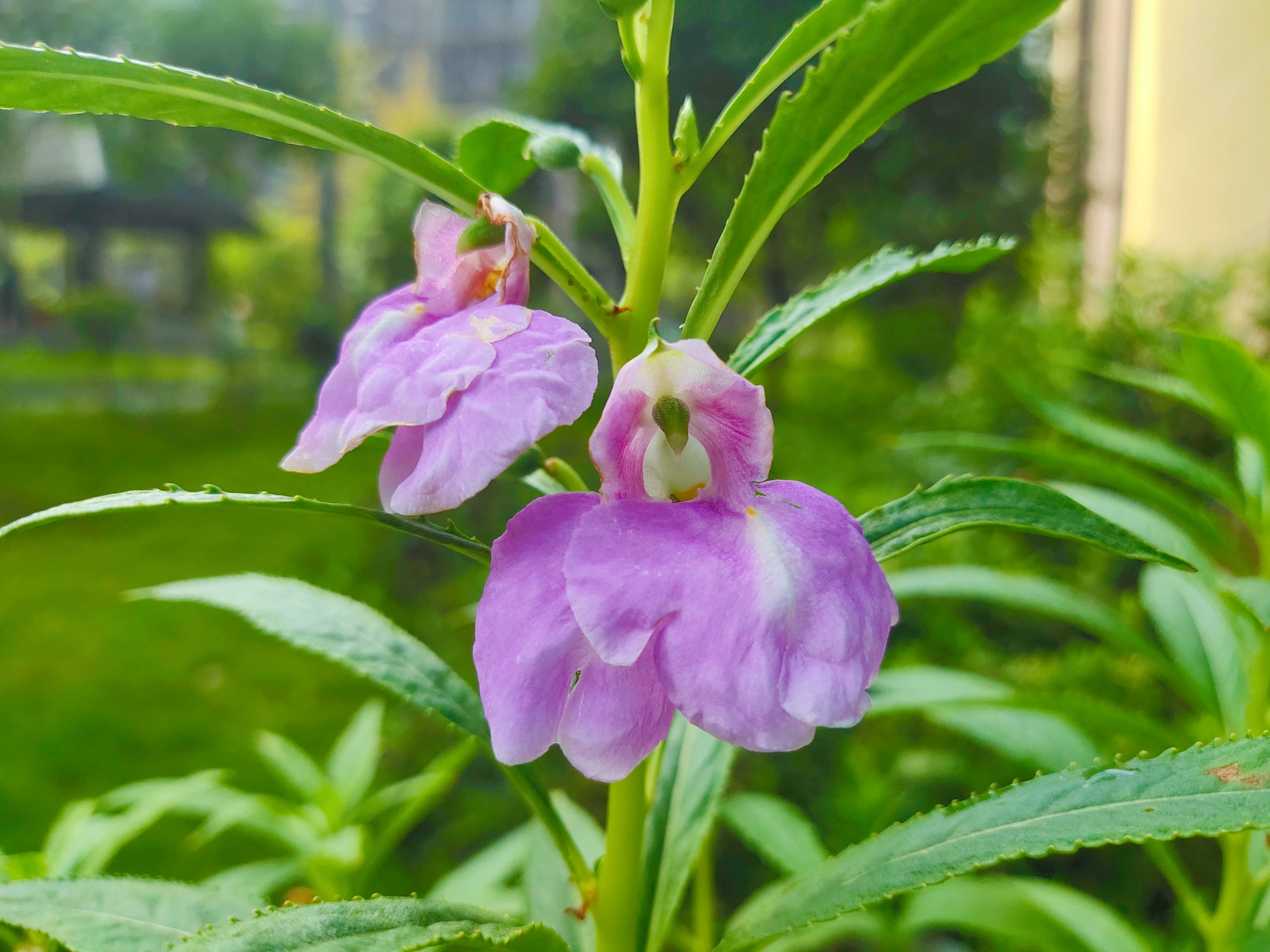 相亲见面两次可以发展到什么地步,同一个相亲对象介绍两次