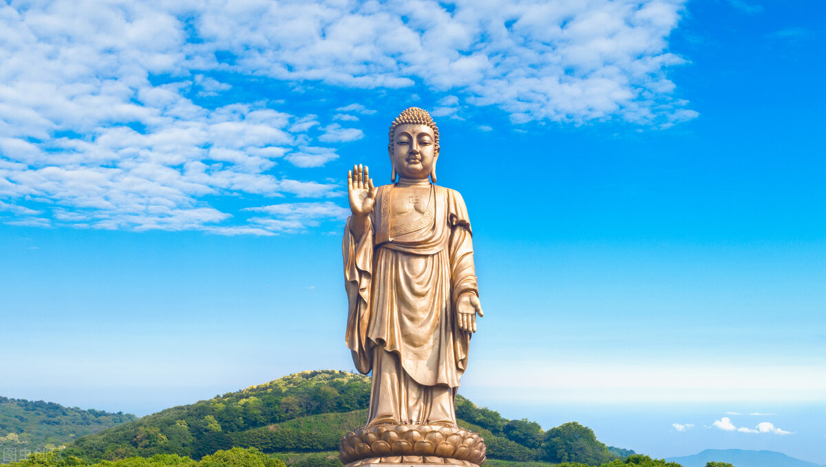 孔雀王动漫在线观看,孔雀王