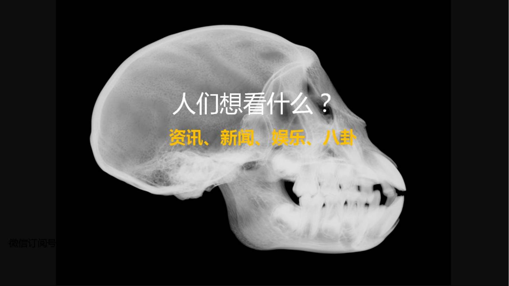 小白如何学品牌策划方法和技巧,如何做品牌策划的步骤