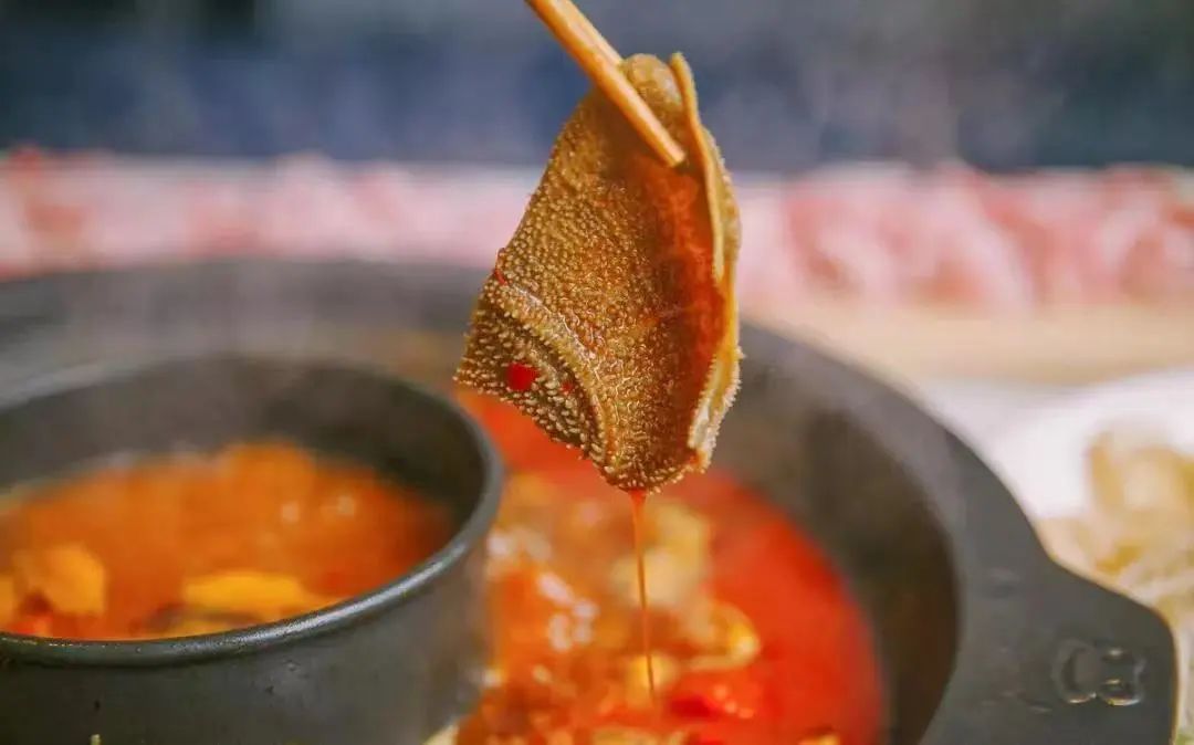 高校毕业生是宝贵的人才,合肥高校毕业生