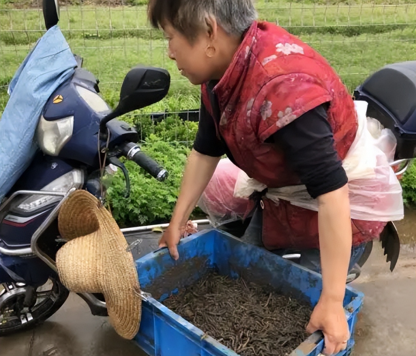 电蚯蚓危害真实案例,电蚯蚓出事故