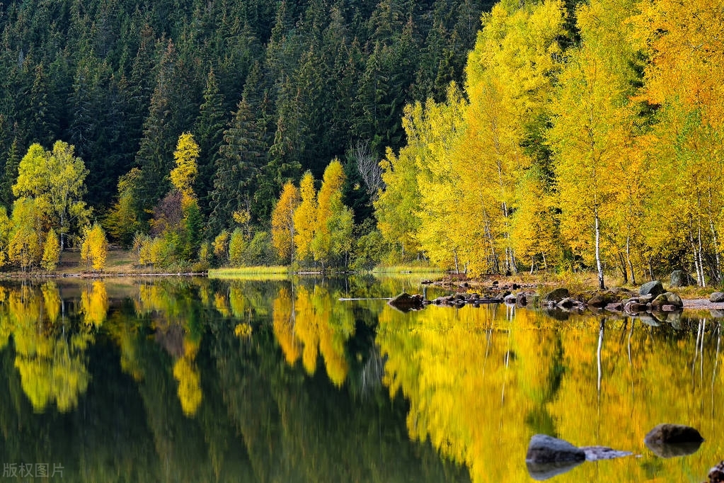危地马拉生活现状,第二次危地马拉
