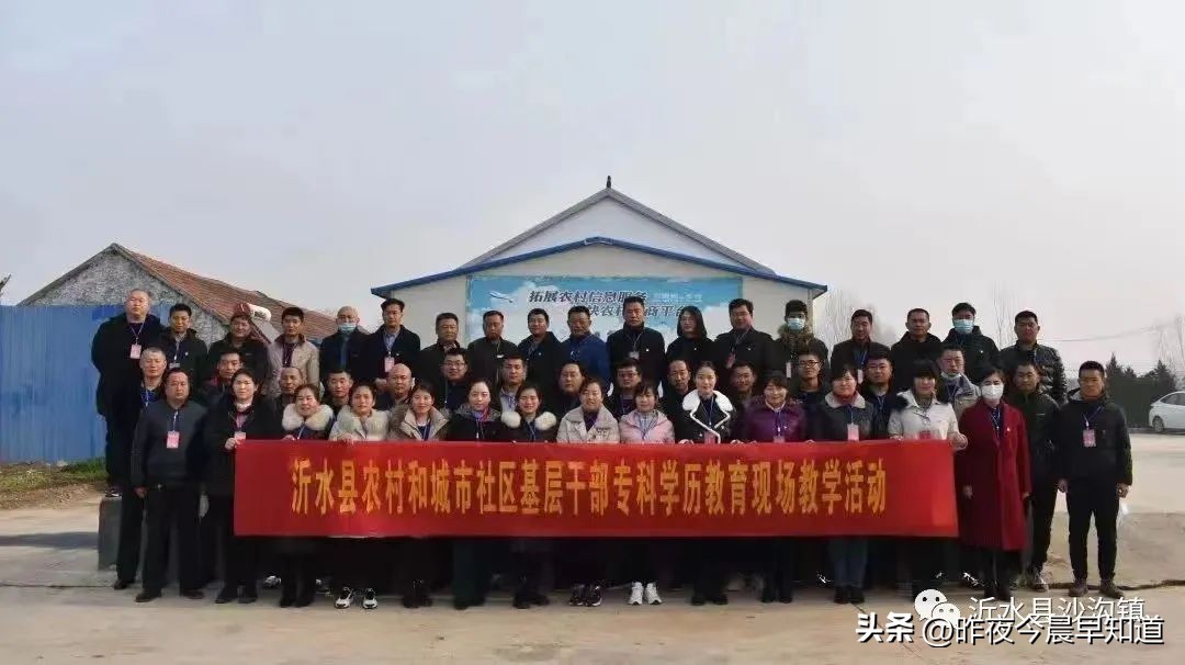 沙沟镇*钟金**峪村*党**支部书记陆云娟：为乡村振兴赋能增值