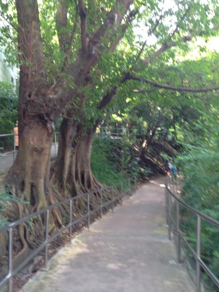 感受香港人文之美好