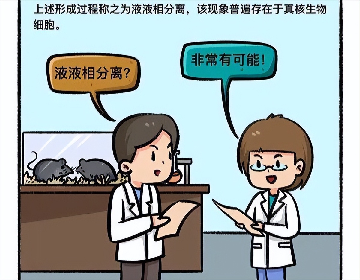 精子形成原理,精子怎么形成的过程动画