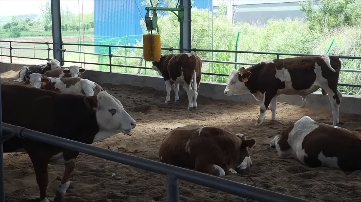 【美好生活看信阳】光山县斛山乡：擦亮红色文化发展绿色产业看“世外桃源”如何助推乡村振兴发展