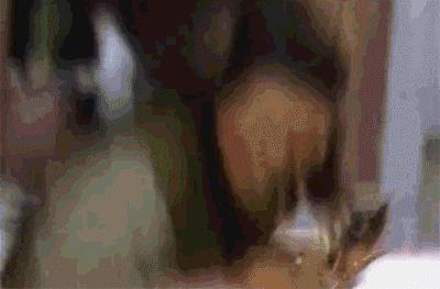 金庸武功排行精确分析,金庸小说里面的武功排行榜