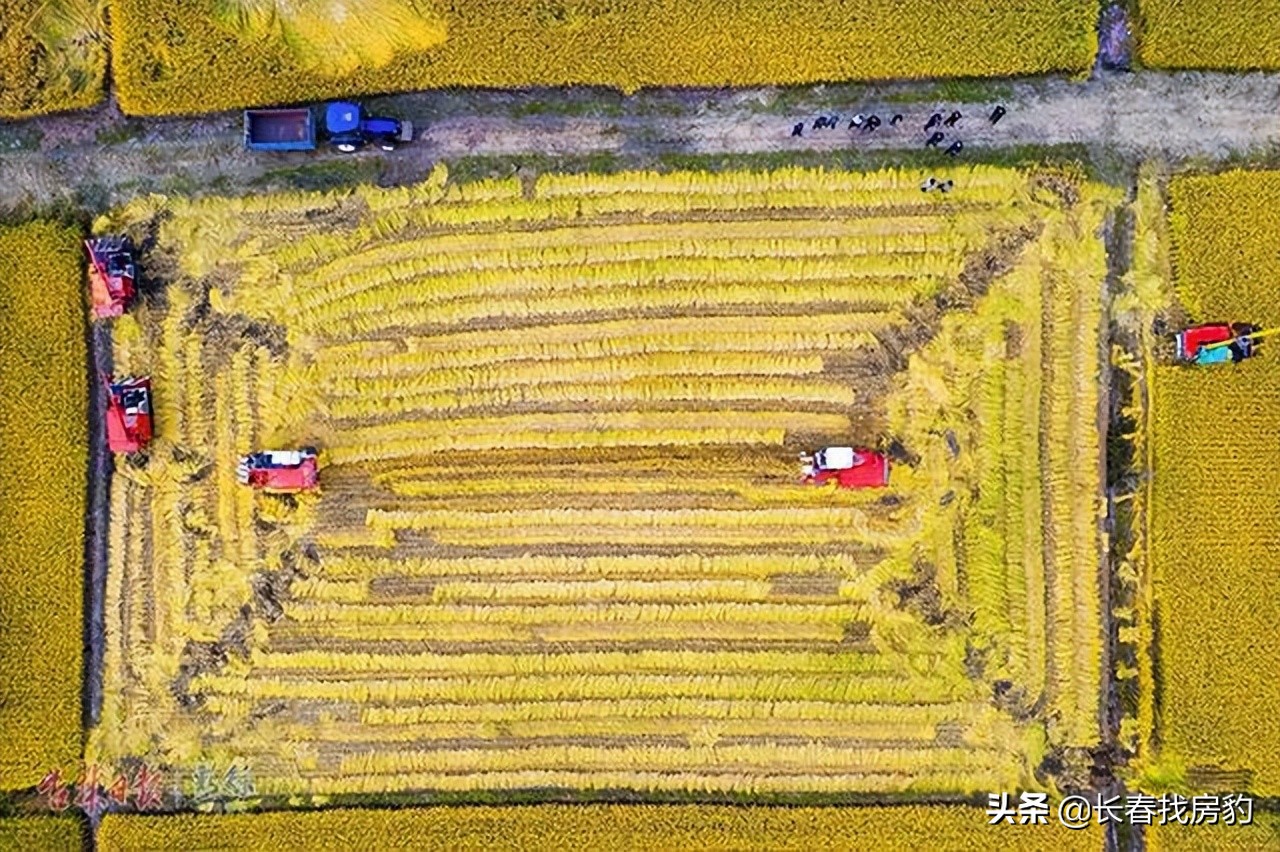 长春解封须知,长春解封条件是什么