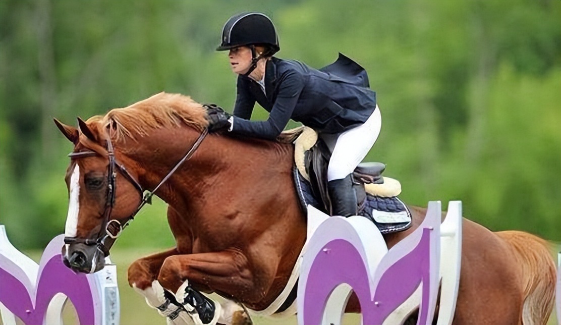 姣斿皵路鐩栬尐涓哄コ鍎垮簡鐢熶笌鍓嶅鍚屾,姣斿皵鐩栬尐瀛愬コ璧勪骇