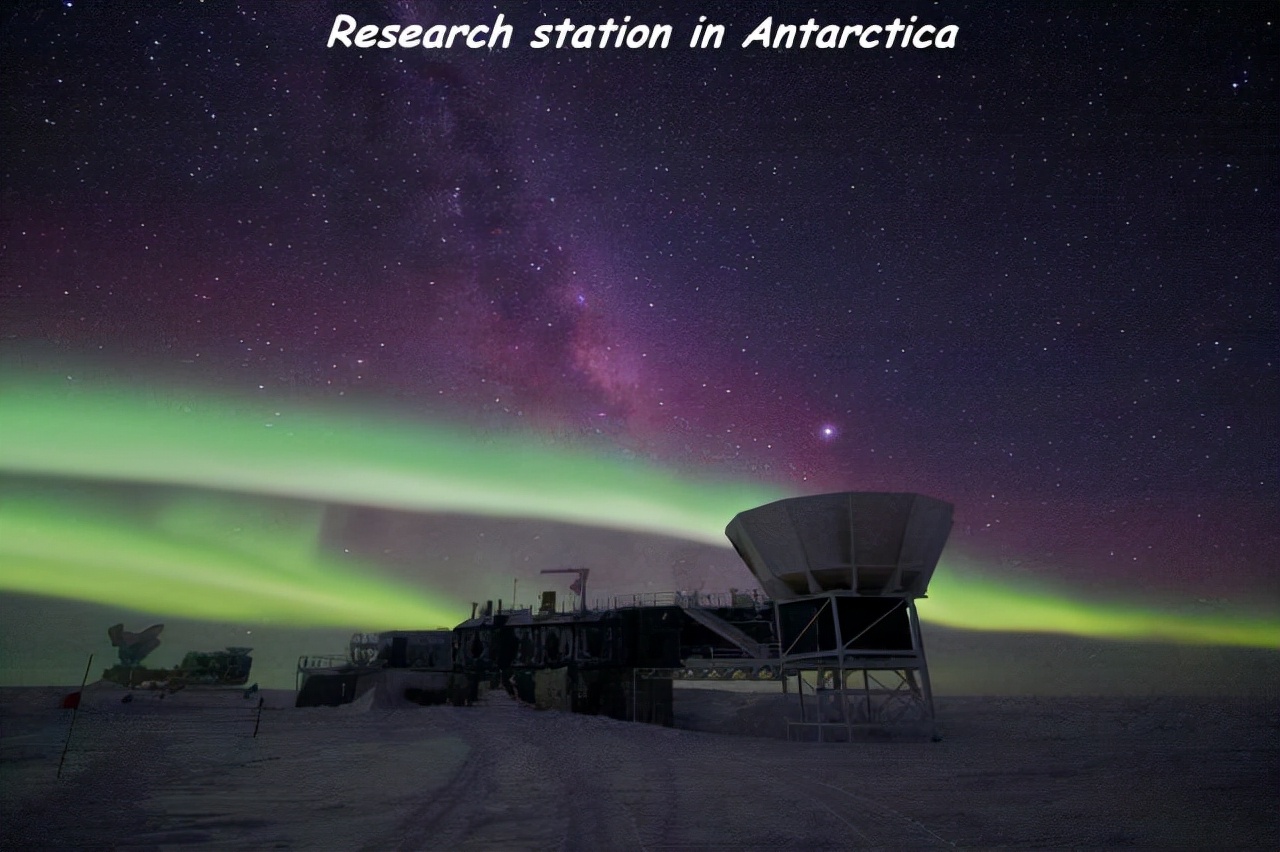 第一个用无人机拍到的鲸鱼,鲸鱼萤火虫