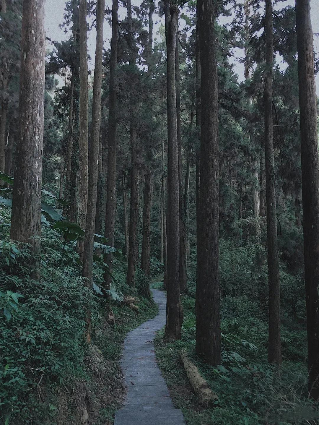 避暑胜地有山有水有树林,大别山避暑胜地有哪些