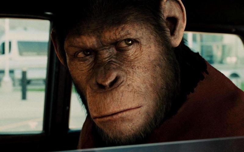 猩球崛起是哪种类型的猩猩,猩球崛起分别是哪种猩猩