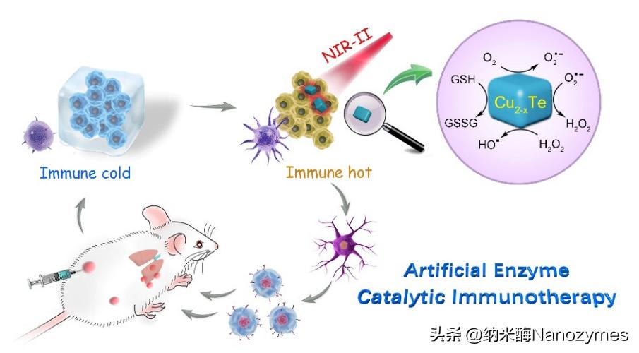 纳米酶在抗肿瘤治疗中的应用,纳米制剂在肿瘤治疗中的优势
