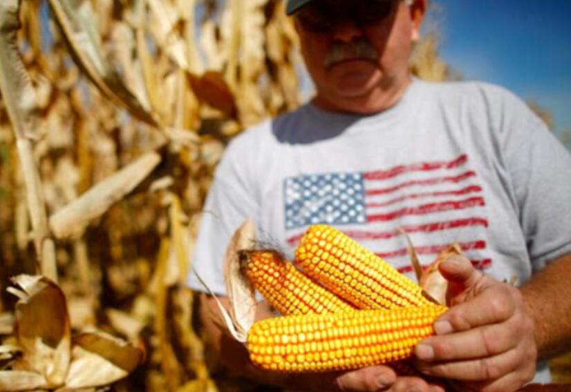 俄罗斯开放海参崴要收关税吗,俄罗斯开放给中国海参崴港口了吗