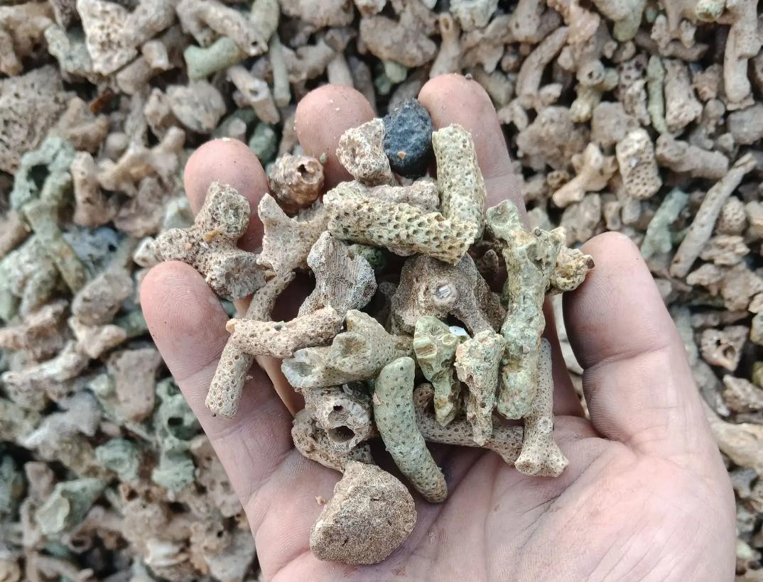 养鱼滤材怎么选合适,养鱼滤材必备知识大全图解