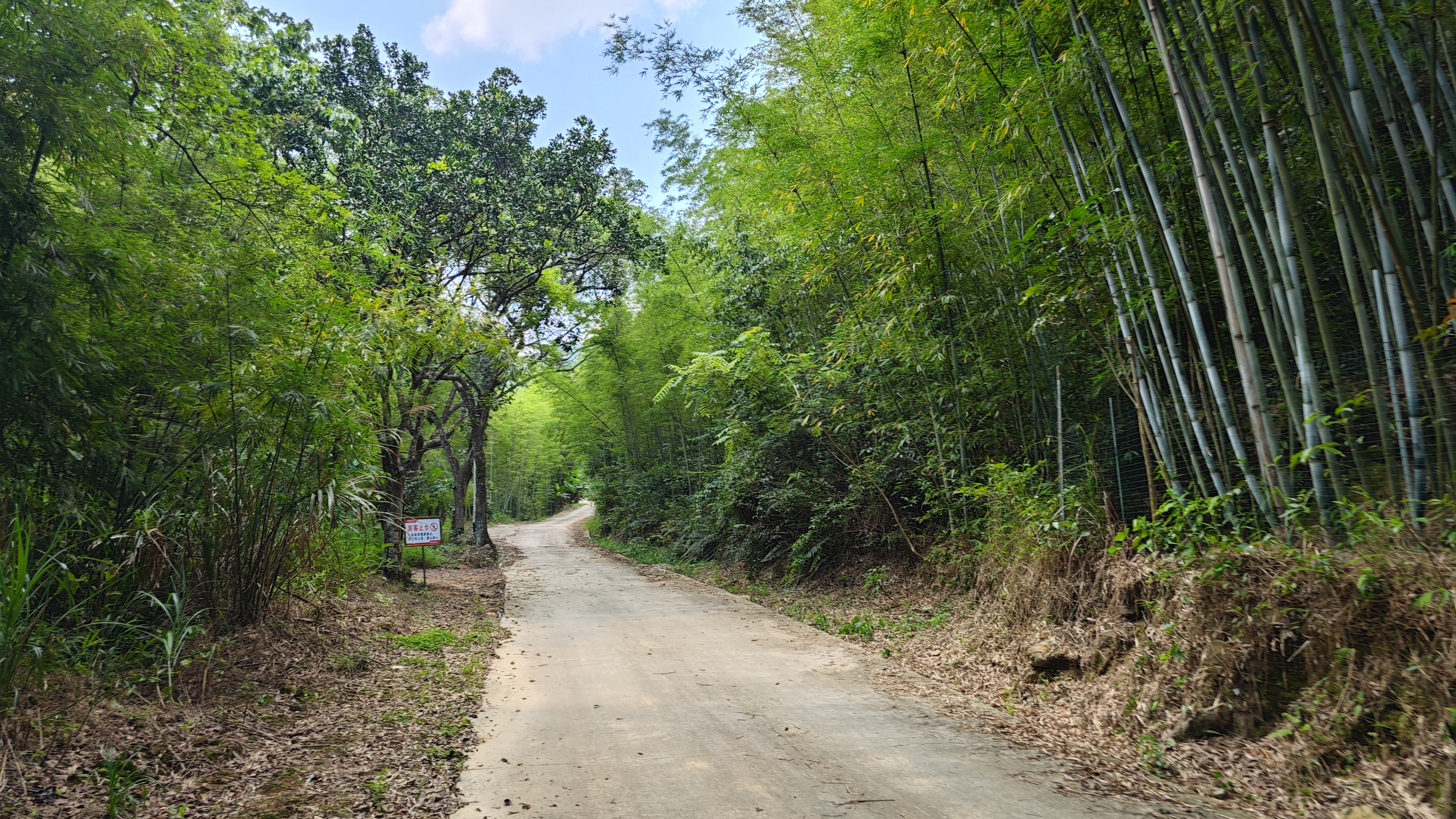 惠州夏日避暑胜地南昆山,惠州南昆山溯溪玩水的地方